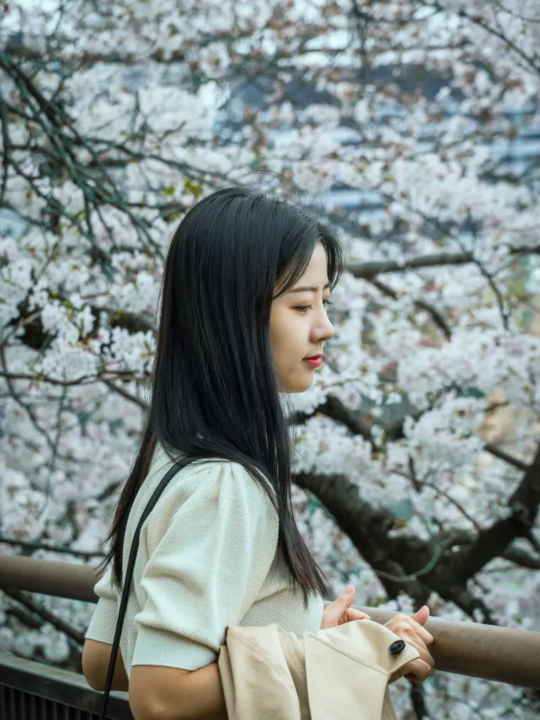 桜の下を歩く、黒髪ストレートロングの横顔